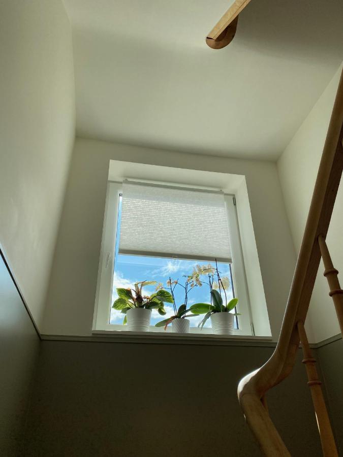 Logies-M Comfort Studios Inc Bikes B&B Oostende Exteriör bild